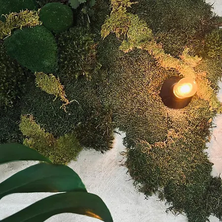 La Grainerie デュルビュイ