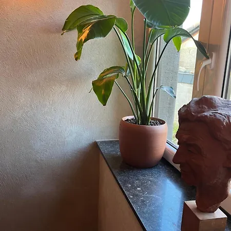 La Grainerie 3* デュルビュイ